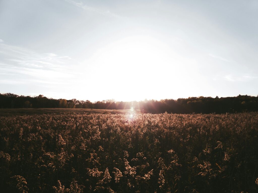 Hello World Featured Image